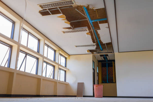 Best Mold removal after water damage  in Sandia Heights, NM