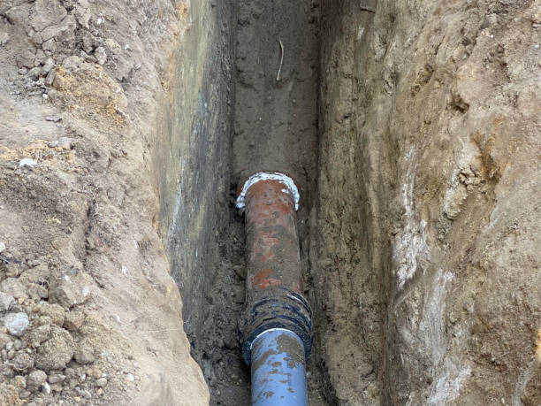 Best Basement water damage restoration  in Sandia Heights, NM