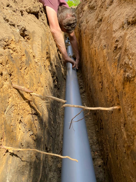 Best Flood damage cleanup  in Sandia Heights, NM