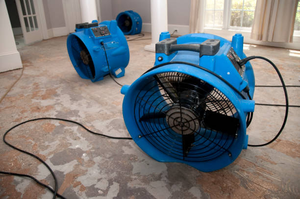 Best Local water damage restoration  in Sandia Heights, NM